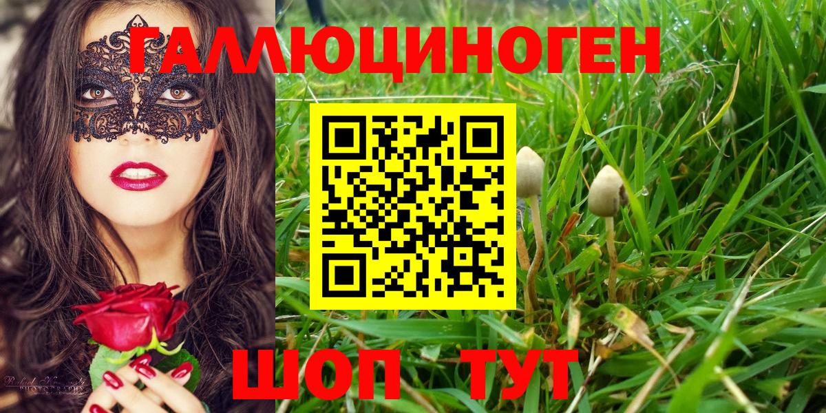 Псилоцибиновые грибы мицелий  Вход с VPN  Миллерово 