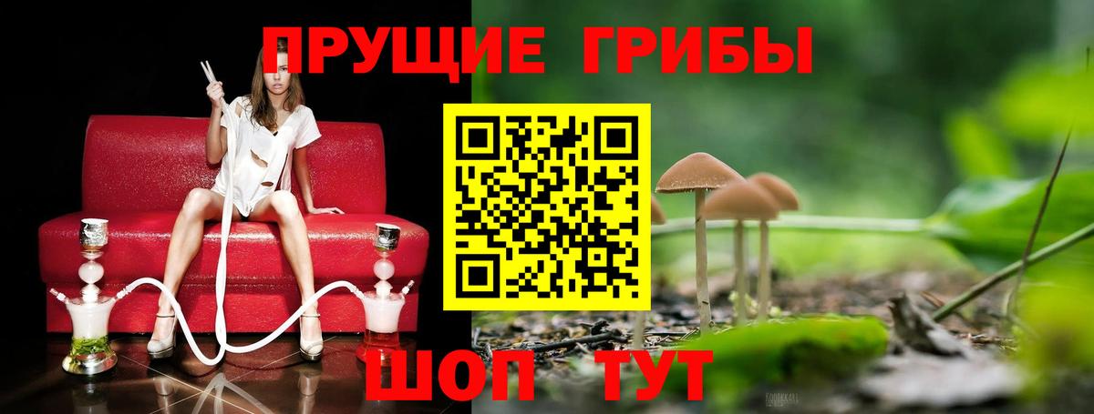 Псилоцибиновые грибы GOLDEN TEACHER Миллерово